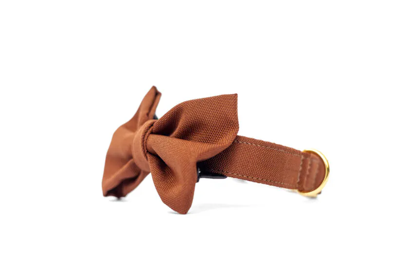 elbhunde hundessa stoff fliege mit halsband rost