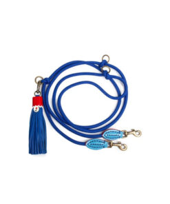 elbhunde dresden dwam hundeleine dutchi