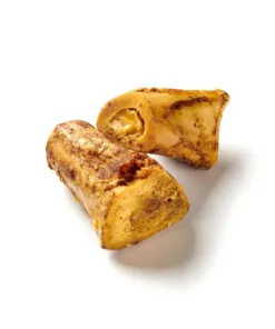 elbhunde dresden pferde markknochen