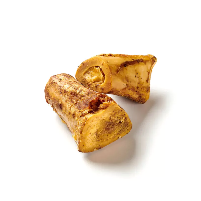 elbhunde dresden pferde markknochen