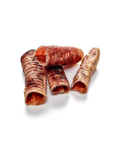 elbhunde dresden rinder strossen