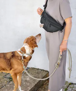 elbhunde-palopa-leckerlibeutel-emma-schwarz-hund