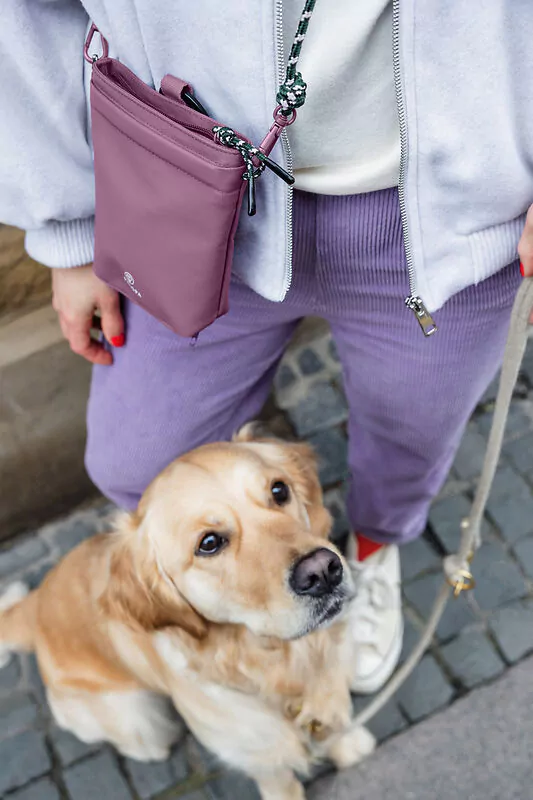 elbhunde-palopa-leckerlibeutel-karl-berry-hund