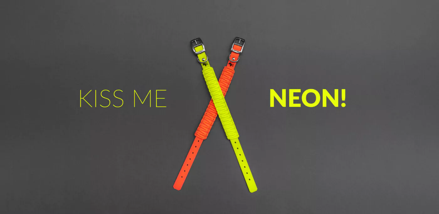 elbhunde biothane paracord halsband kiss me neongelb neonorange startbild dunkel