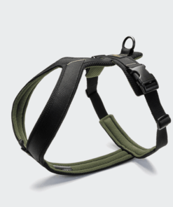 elbhunde cloud7 y 1 geschirr aktiv air mesh black