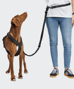 elbhunde cloud7 y 1 geschirr aktiv air mesh black hund hands free leine
