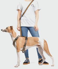 elbhunde cloud7 y 2 geschirr aktiv cordura khaki windhund hands free leine