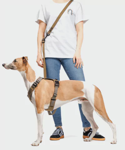 elbhunde cloud7 y 2 geschirr aktiv cordura khaki windhund hands free leine