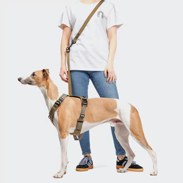 elbhunde cloud7 y 2 geschirr aktiv cordura khaki windhund hands free leine