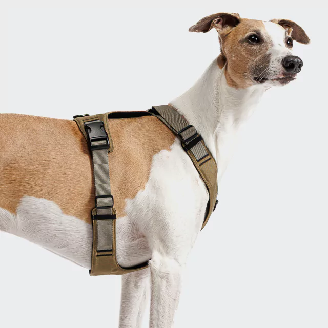 elbhunde cloud7 y 2 geschirr aktiv cordura khaki windhund seite