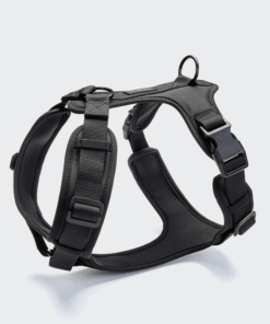 elbhunde cloud7 y 3 geschirr aktiv softshell black