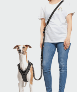 elbhunde cloud7 y 3 geschirr aktiv softshell black windhund hands free leine