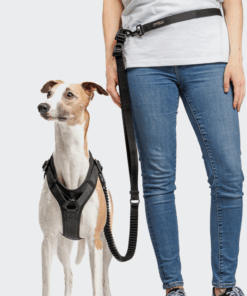 elbhunde cloud7 y 3 geschirr aktiv softshell black windhund hands free leine taille