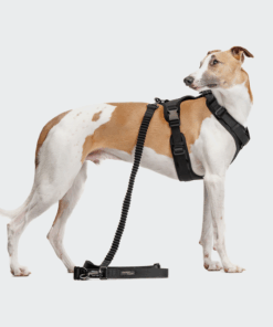 elbhunde cloud7 y 3 geschirr aktiv softshell black windhund joggingleine