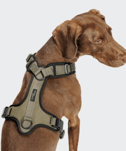 elbhunde cloud7 y 3 geschirr aktiv softshell olive hund