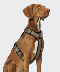 elbhunde cloud7 y 3 geschirr aktiv softshell olive hund brust