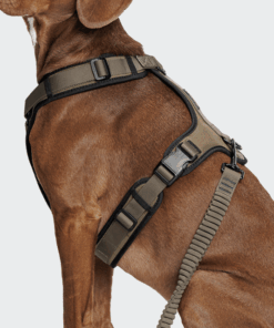 elbhunde cloud7 y 3 geschirr aktiv softshell olive hund seite detail