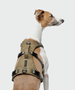 elbhunde cloud7 y sicherheitsgeschirr aktiv khaki grey windhund ruecken