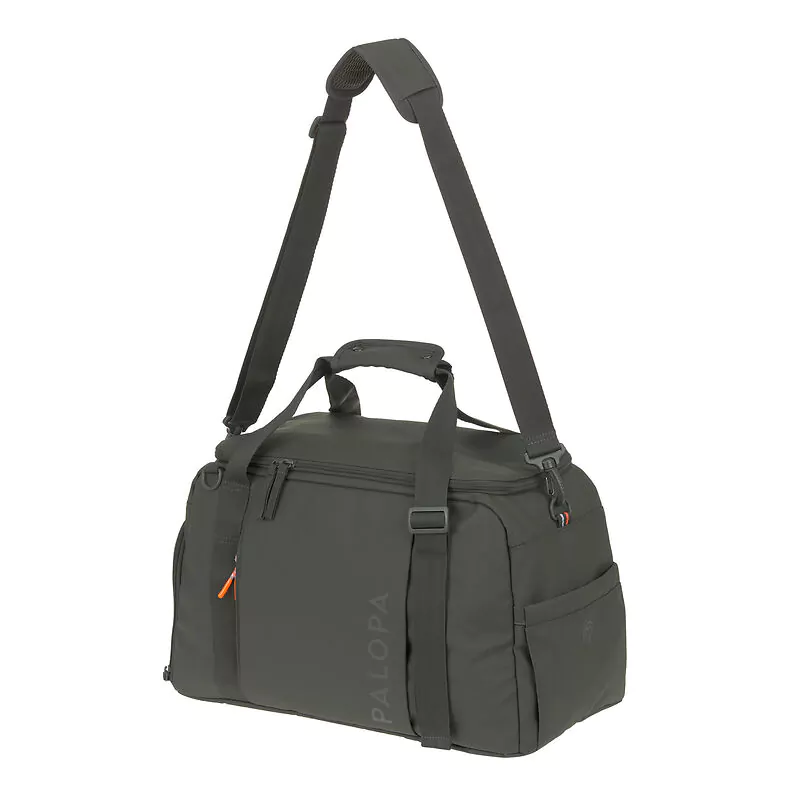 DOG A25 21060075200 P 2