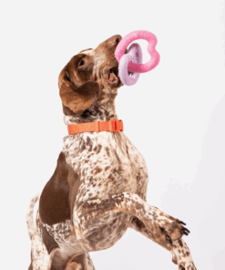 elbhunde awoo herzen aus bio wollfilz hund