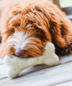 elbhunde awoo knochen aus bio wollfilz hund