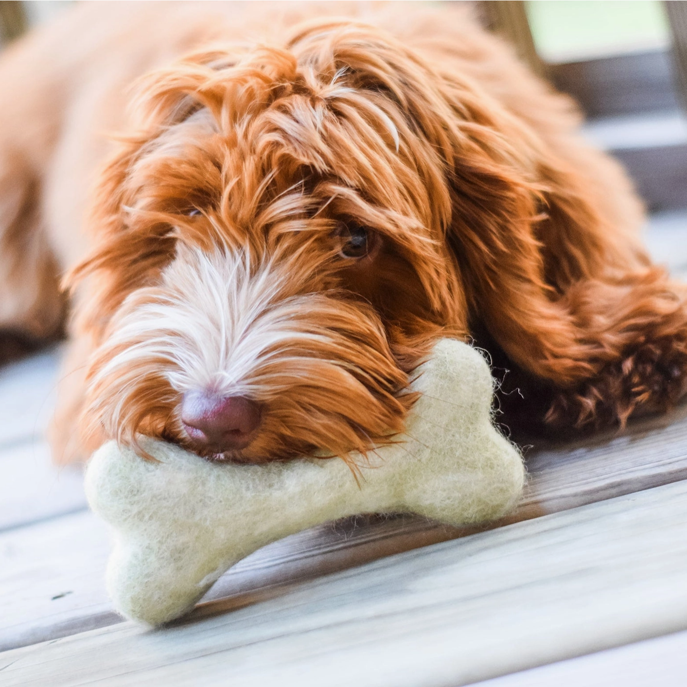 elbhunde awoo knochen aus bio wollfilz hund