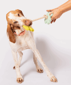 elbhunde awoo turteltauben aus bio wollfilz hund