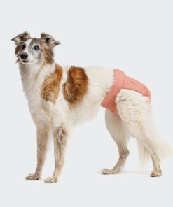 elbhunde cloud7 laeufigkeitshoeschen rose hund