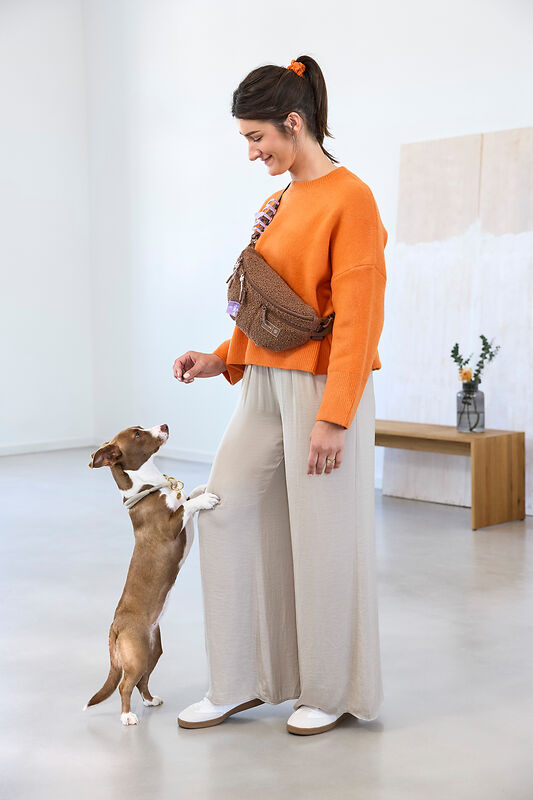 elbhunde-palopa-emma-in-teddy-fleece-brown-hund