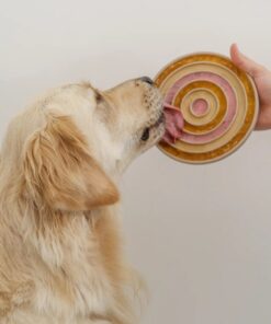 elbhunde lambwolf hundenapf bento 2 in 1 goldie schleckt