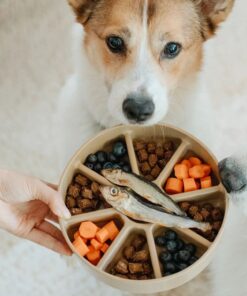 elbhunde lambwolf hundenapf bento 2 in 1 hund futter