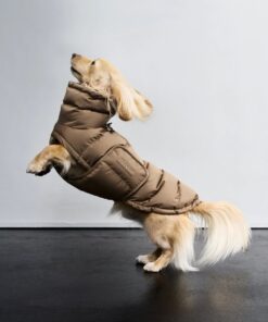 elbhunde cloud7 hundemantel alaska dackel sandy brown hund