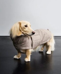 elbhunde cloud7 hundemantel brooklyn tweed beige dackel hund