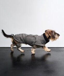 elbhunde cloud7 hundemantel brooklyn tweed black dackel hund