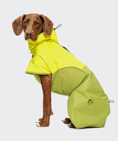 elbhunde cloud7 hunderegenmantel aktiv neongreen light olive hund sitzend