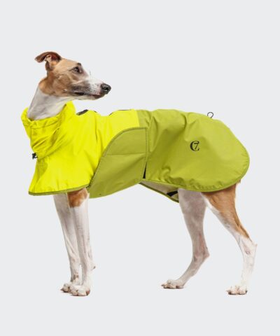 elbhunde cloud7 hunderegenmantel aktiv neongreen light olive windhund steht