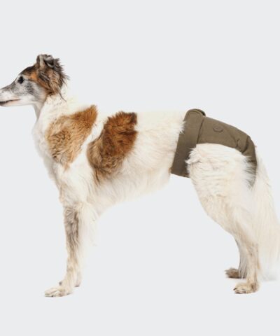 elbhunde cloud7 laeufigkeitshoeschen olive hund