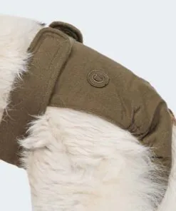 elbhunde cloud7 laeufigkeitshoeschen olive hund detail