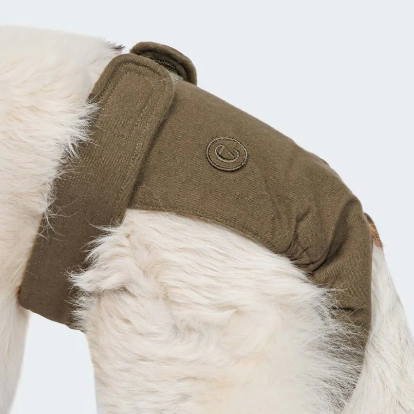 elbhunde cloud7 laeufigkeitshoeschen olive hund detail