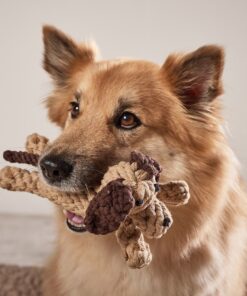 elbhunde laboni doggy dog grosser hund