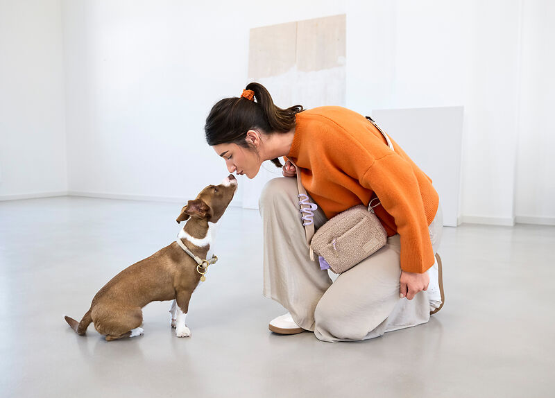 elbhunde-palopa-umhaengetasche-noka-teddy-fleece-beige-hund