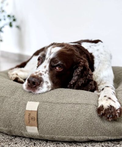 elbhunde palopa hundebett fippa in grau hund