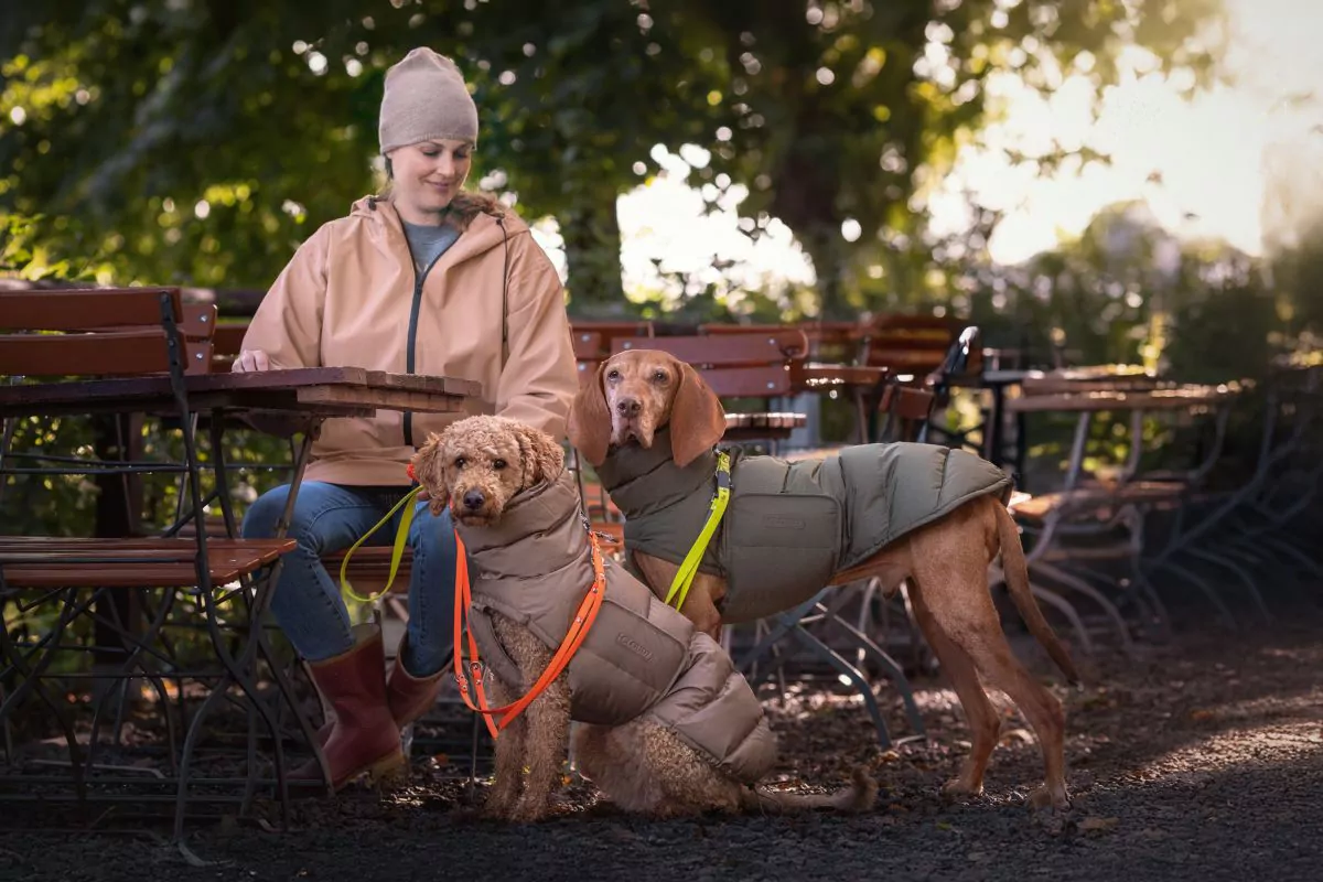 elbhunde slider beli maya alaska tisch