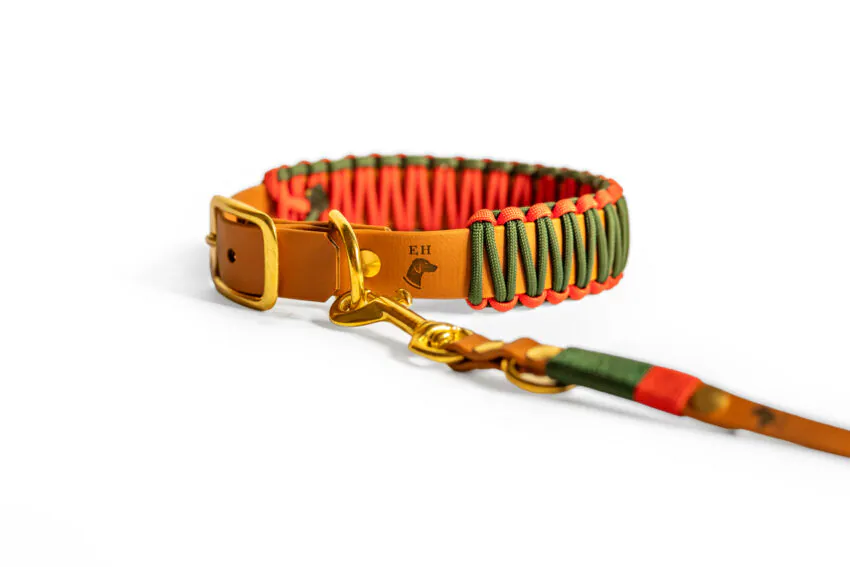 elbhunde biothane paracord halband leine crimson pine