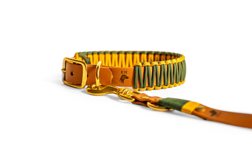 elbhunde biothane paracord halband leine honey grove