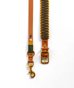 elbhunde biothane paracord halband leine honey grove set