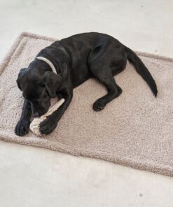 elbhunde miacara hundedecke senso hund