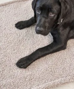 elbhunde miacara hundedecke senso hund vorne